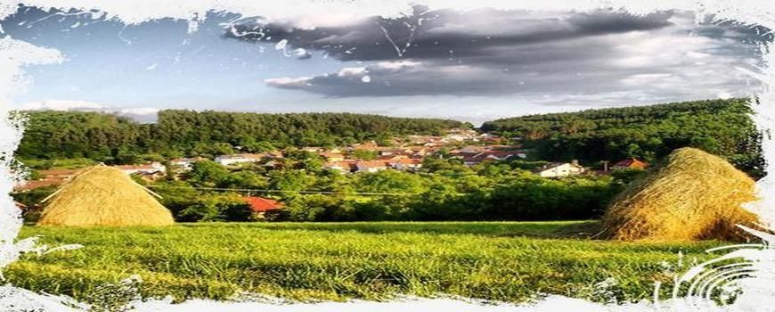 Stěhovací služby  Sentice
