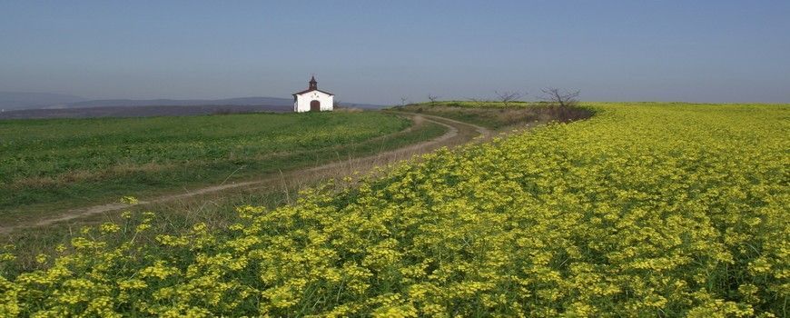 Vyklízení půd a sklepů Slavětín (okres Olomouc)