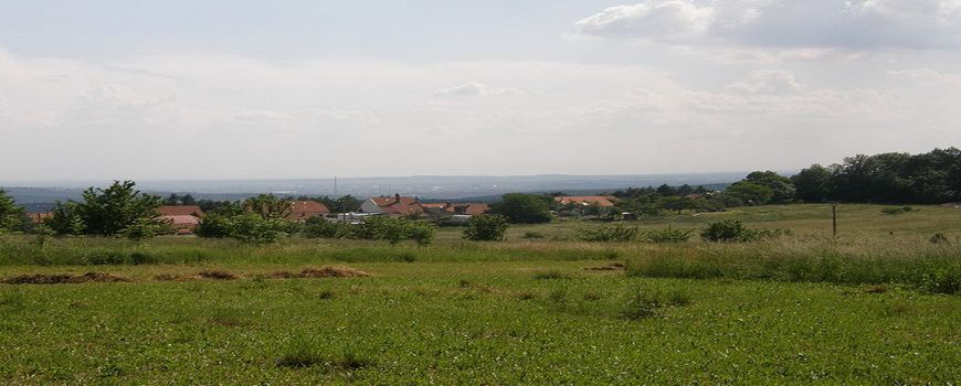 Stěhování Babice nad Svitavou