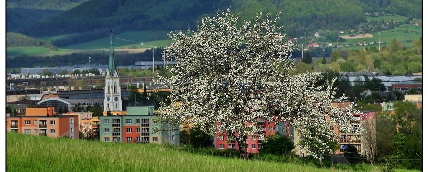 Stěhovací služby  Kopřivnice