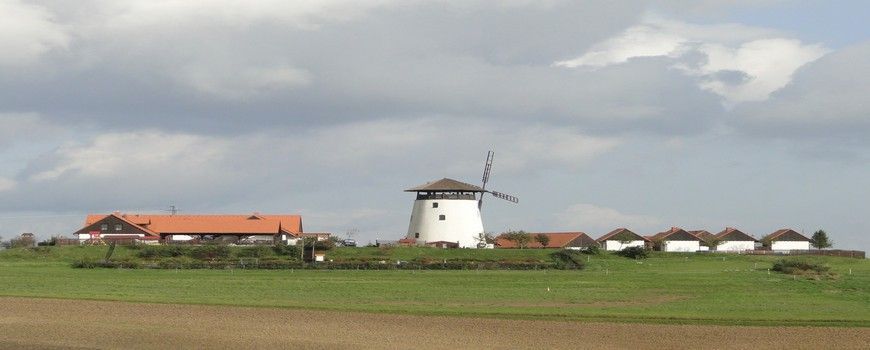 Vyklízení Ostrovánky