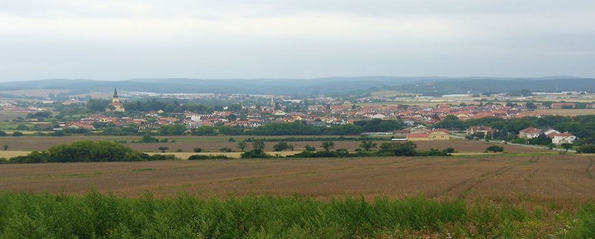 Stěhovací služby Troubsko