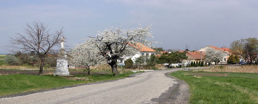 Stěhovací služby   Nesvačilka 
