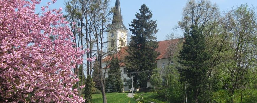 Vyklízení   Zubří