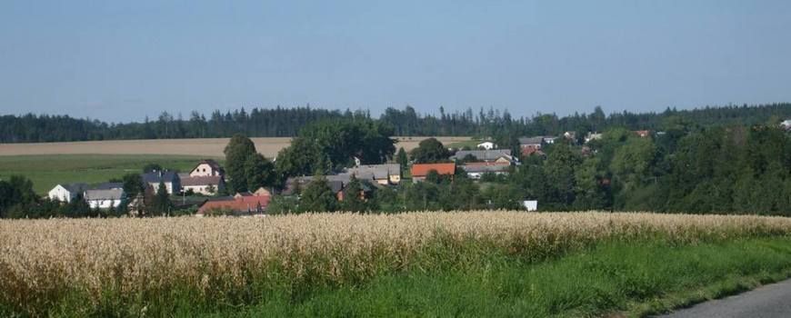 Vyklízení   Březová