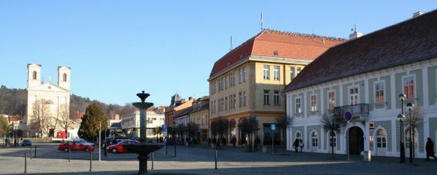 Stěhovací služby Bučovice