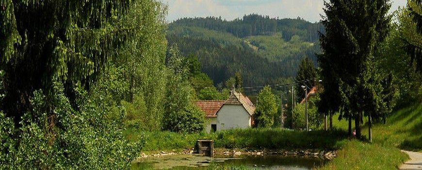 Vyklízení pozůstalostí i nemovitosti    Brumov