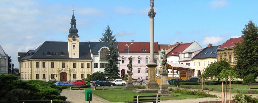 Stěhovací služby  Kojetín