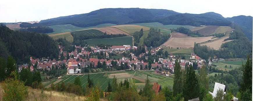 Stěhovací služby  Nové Bránice