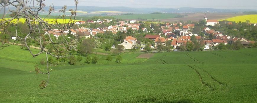 Vyklízení  Dražovice