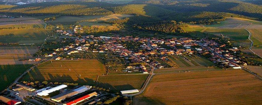 Stěhovací služby    Lažánky