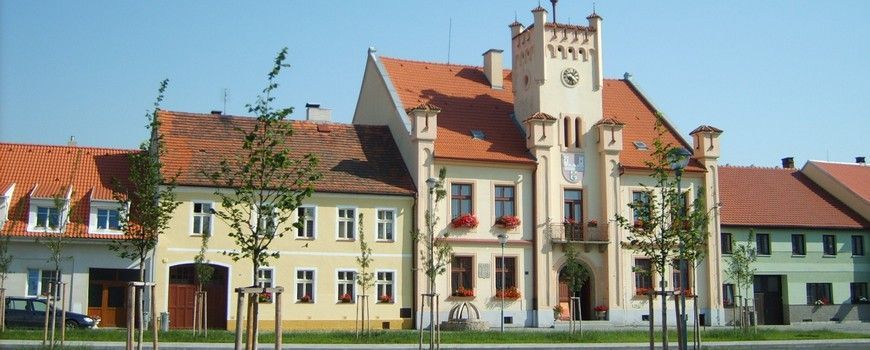 Vyklízení   Švihov