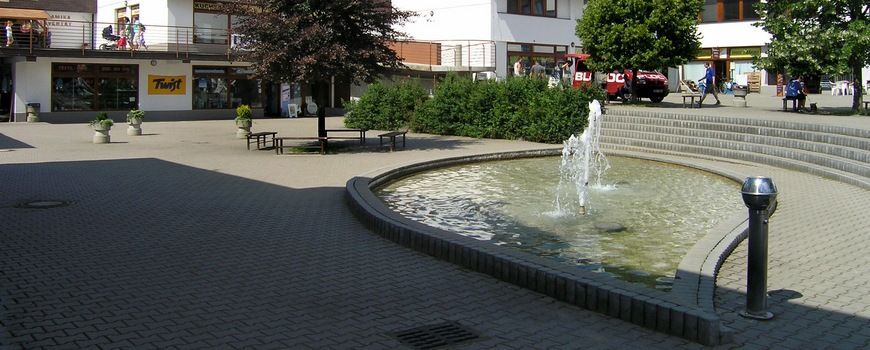 Stěhovací služby    Třemošnice