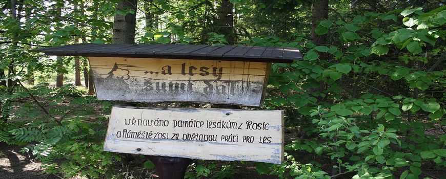 Vyklízení pozůstalostí i nemovitosti Zbraslav (okres Brno-venkov)
