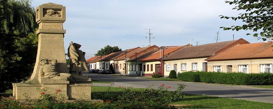 Vyklízení Moravany (okres Hodonín)
