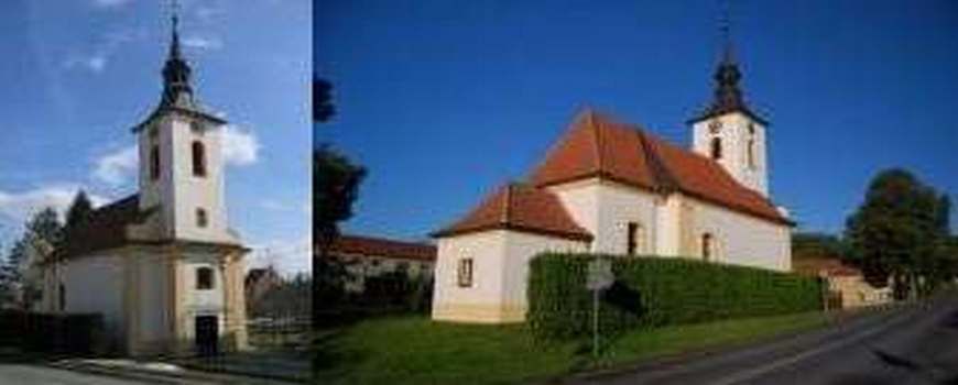 Stěhovací služby Vícov