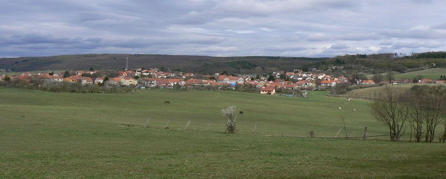 Stěhovací služby  Ochoz u Brna