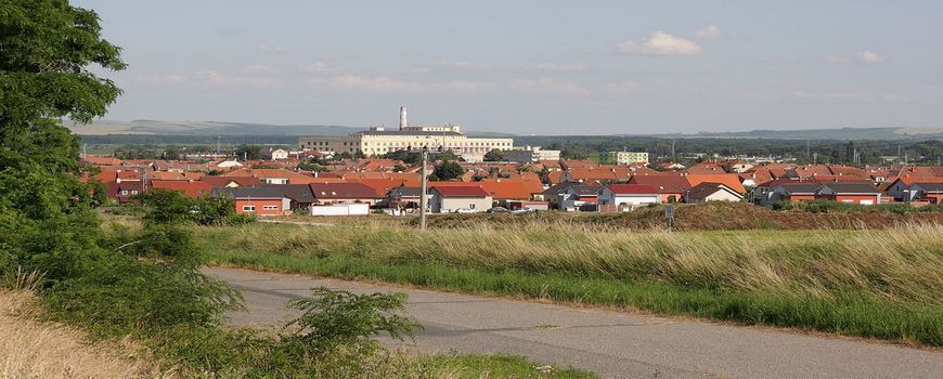 Stěhovací služby  Hrušovany u Brna
