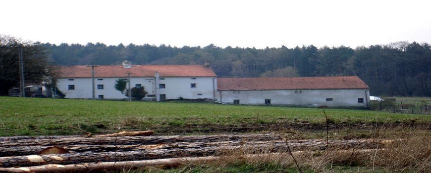 Vyklízení  Zálesná Zhoř