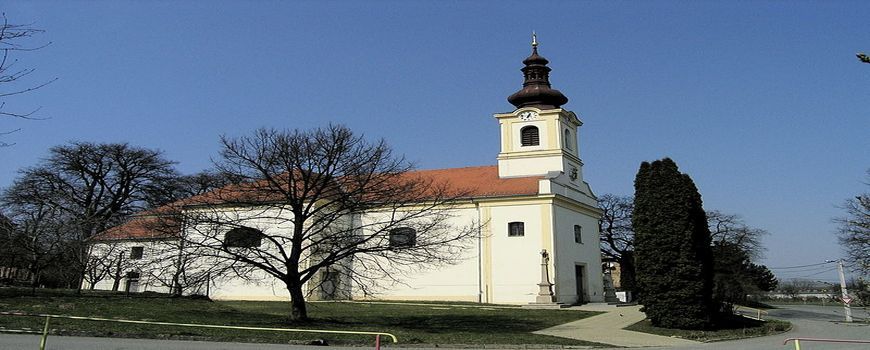 Vyklízení pozůstalostí i nemovitosti     Milonice