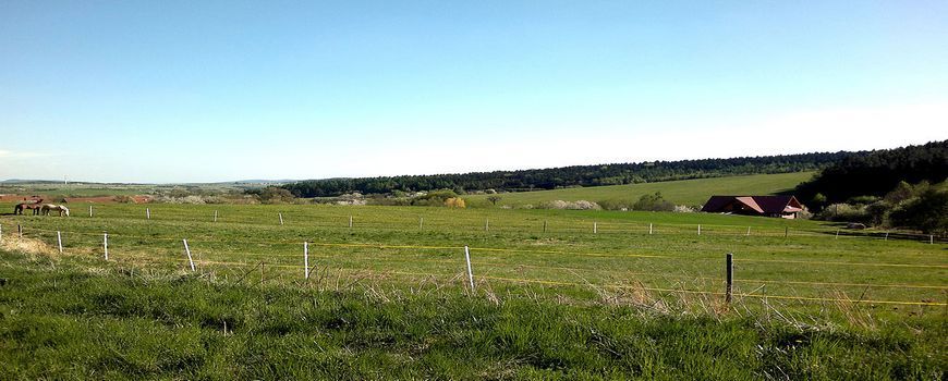 Vyklízení  Zhoř (okres Brno-venkov)