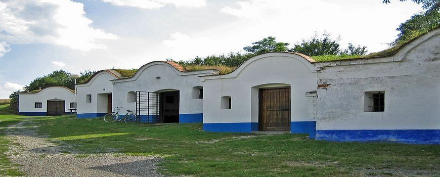 Vyklízení bytů Petrov (okres Hodonín)