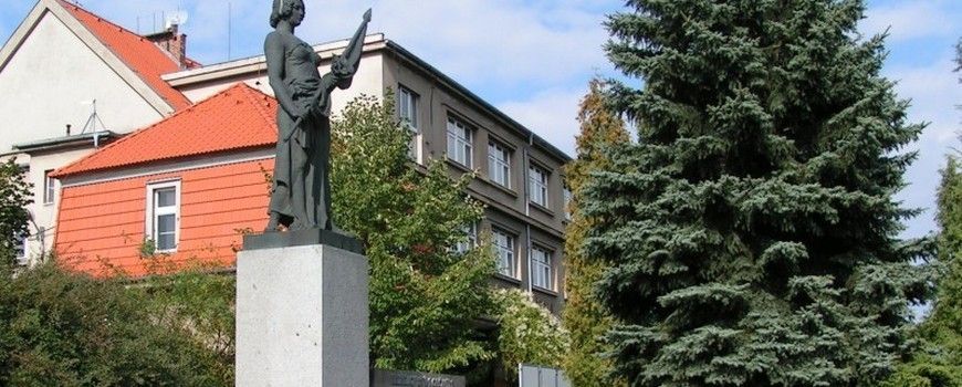 Stěhovací služby  Kaznějov