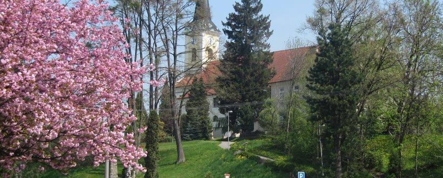 Vyklízení   Zubří