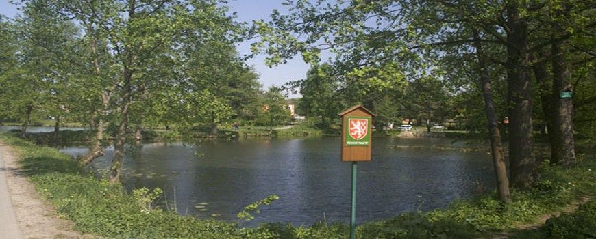 Stěhování bytů a domů Horka nad Moravou