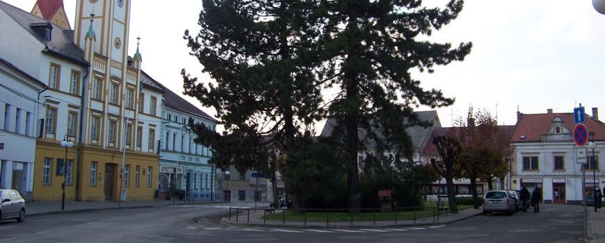 Stěhovací služby  Mšeno