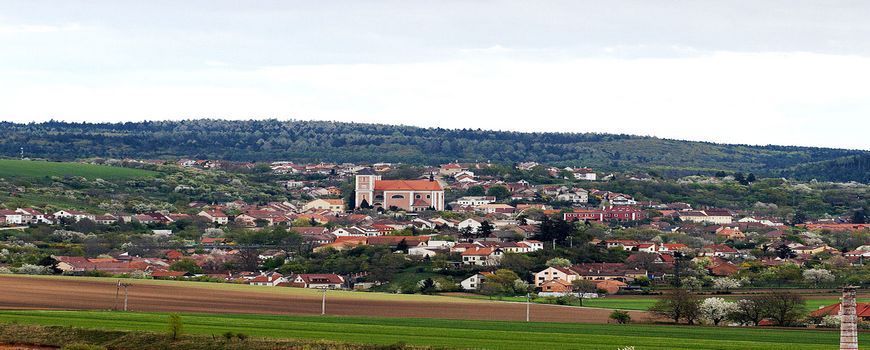 Vyklízení pozůstalostí i nemovitosti  Pozořice