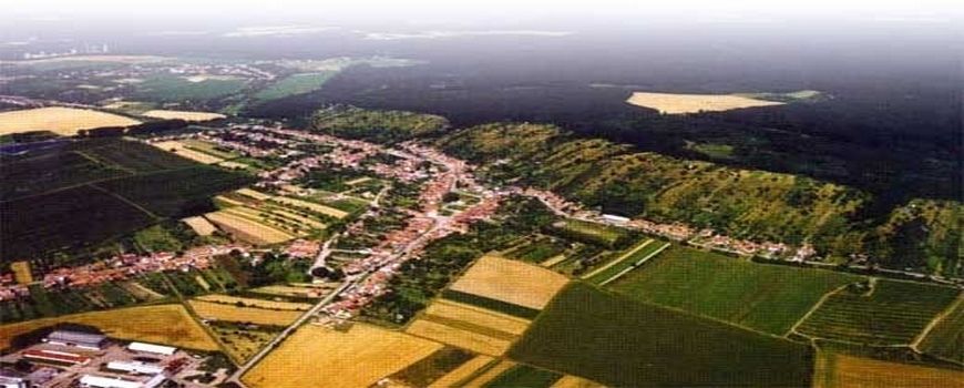 Vyklízení  Viničné Šumice