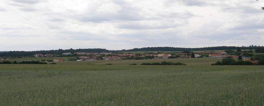 Vyklízení Bukovina (okres Blansko)