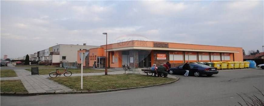 Stěhovací služby Radslavice