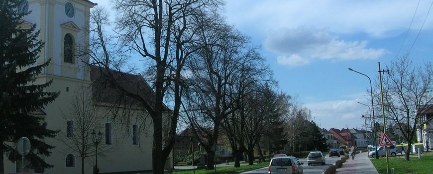 Stěhovací služby Vracov