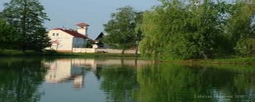 Stěhovací služby Majetín
