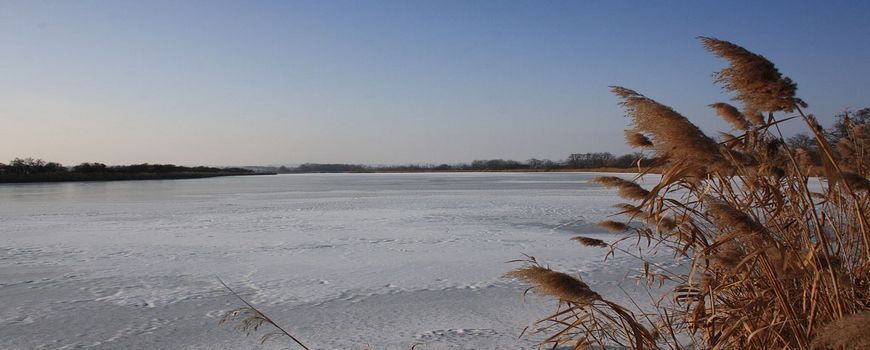 Vyklízení  Šumice (okres Brno-venkov)