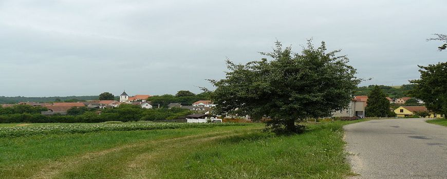 Stěhování  Čučice
