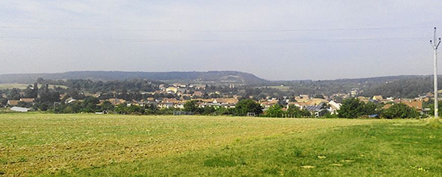 Vyklízení  Otaslavice