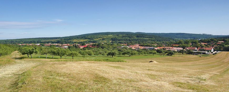 Vyklízení Javorník (okres Hodonín)