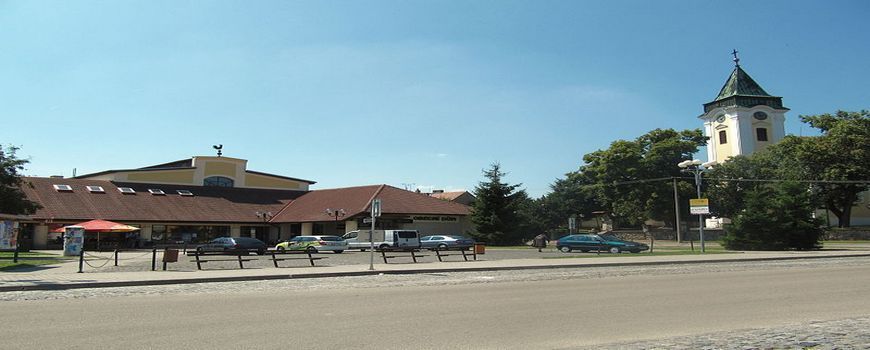 Vyklízení Dolní Bojanovice