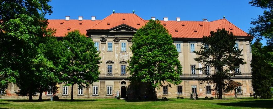 Stěhovací služby  Plasy