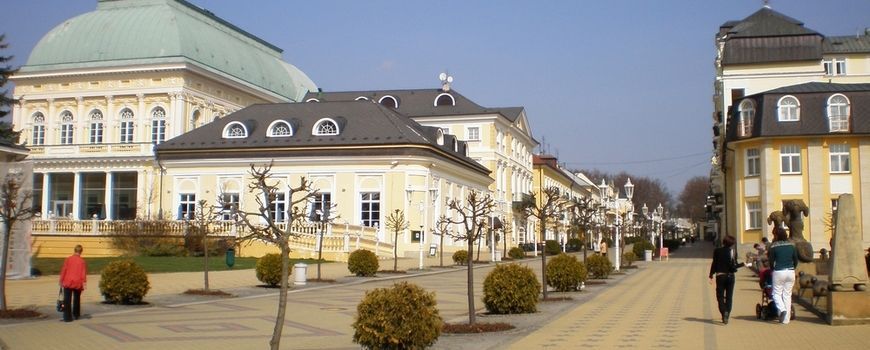 Stěhování   Františkovy  Lázně