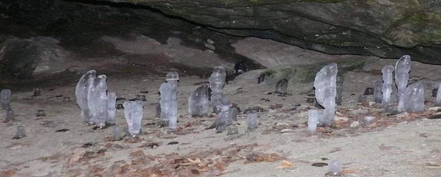 Vyklízení bytů a domů Holštejn