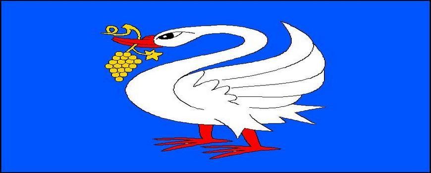 Vyklízení bytů Labuty